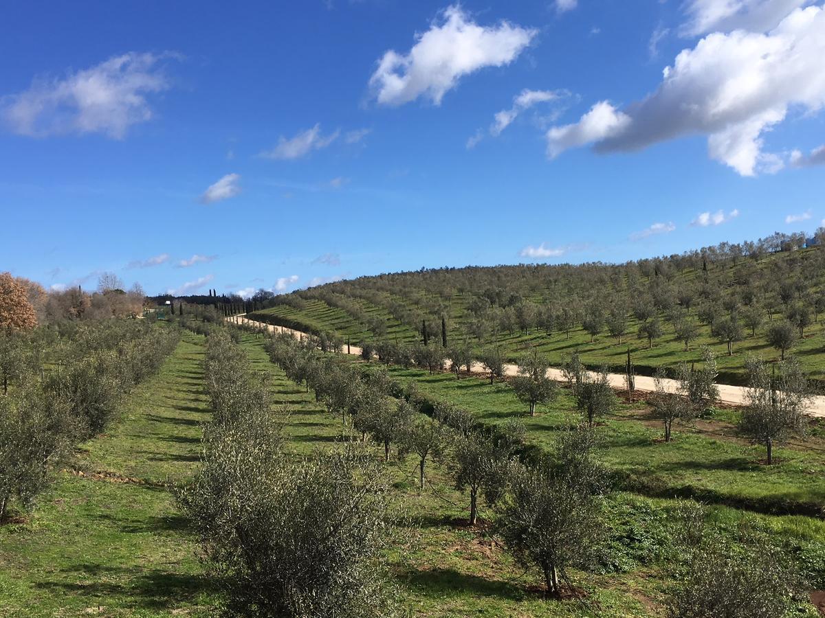 Il Podere Di Marfisa Farnese Exterior foto